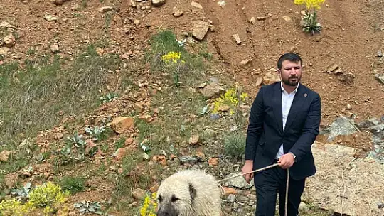 İhbar kendisine geldi, belediye başkanı köpek kurtarma operasyonuna katıldı