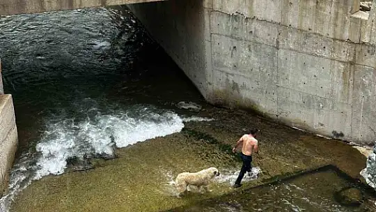 İhbar kendisine geldi, belediye başkanı köpek kurtarma operasyonuna katıldı