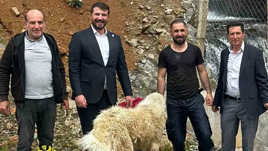 İhbar kendisine geldi, belediye başkanı köpek kurtarma operasyonuna katıldı
