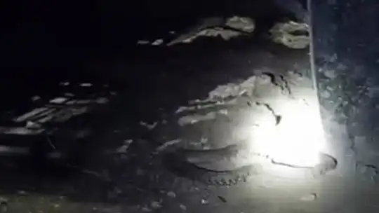Isırığı bir insanı öldürmeye yetiyor: Elazığ'da 2 metrelik engerek yılanı görüntülendi