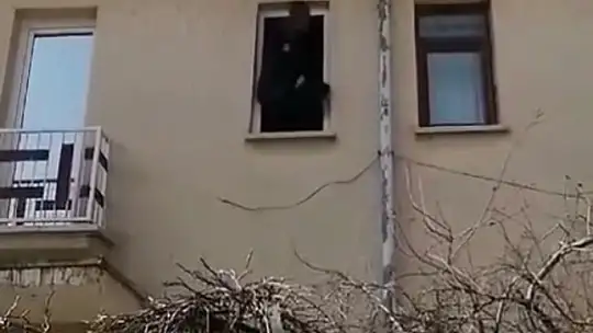 Kanadı çatı arasına sıkışan kargayı itfaiye kurtardı