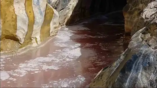 Keban'da balık işleme fabrikasının atıklarının arıtılmadan çaya döküldüğü iddiası