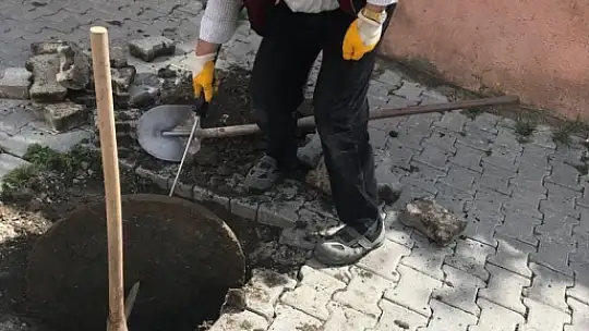 Keban'da haşere ile mücadele çalışması başladı