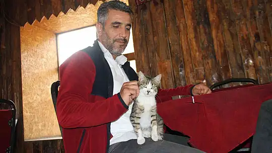 Kedi kahvehanenin maskotu oldu