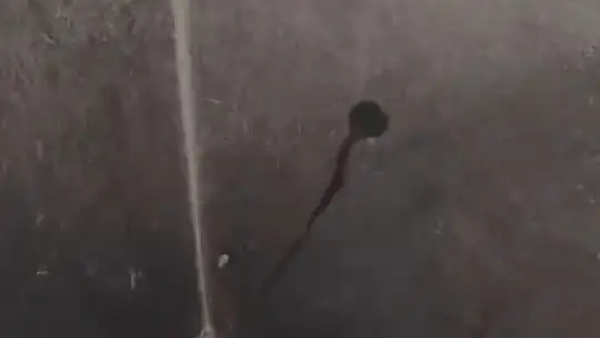 Kimyasal makinesinin içine düşen kedi son anda kurtarıldı