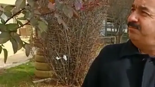 Kış ortasında güller açtı, vatandaşlar şaşırdı