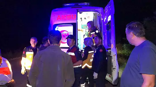 Köpeğe çarpan kamyonet şarampole uçtu: 4 yaralı