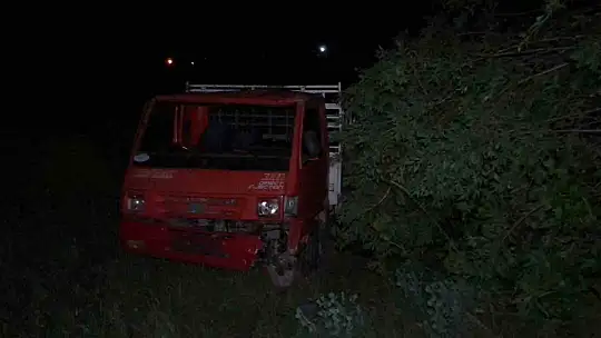Köpeğe çarpan kamyonet şarampole uçtu: 4 yaralı
