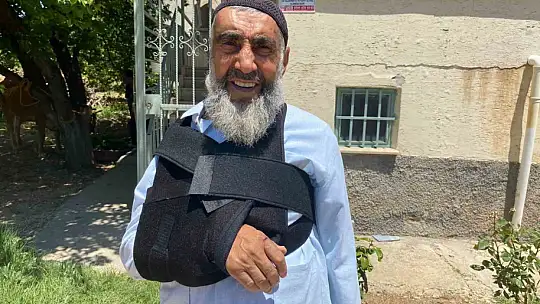 Kurban Bayramının ilk 'kaçağı' Elazığ'dan: Kurbanlık inek sahibinin omurgasını kırıp kaçtı
