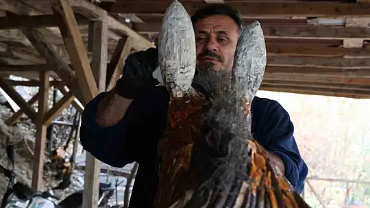 Kurumuş ağaç kökü ve dalları, sanata dönüşüyor