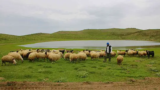Kuruyan Bervi Gölü yağışlarla yeniden canlandı