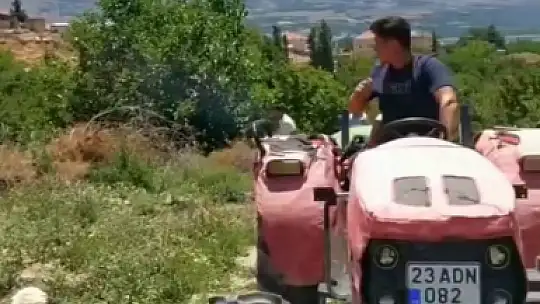Kuşlar elektrik tellerine çarptı, kıvılcımlar yangına neden oldu