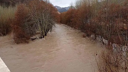Arapgir'de Kozluk Çayı taştı