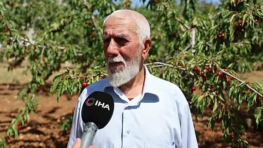 Medeniyetler beşiği 5 bin yıllık Harput'ta erken kiraz hasadı
