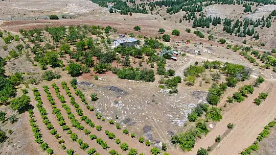 Medeniyetler beşiği 5 bin yıllık Harput'ta erken kiraz hasadı