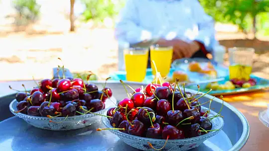 Medeniyetler beşiği 5 bin yıllık Harput'ta erken kiraz hasadı