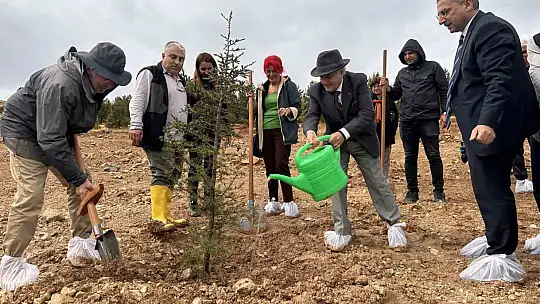 Ordinaryüs Prof. Cahit Arf'ın ABD'li damadından Türk mühendise Türkçe övgüler