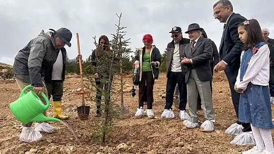 Ordinaryüs Prof. Cahit Arf'ın ABD'li damadından Türk mühendise Türkçe övgüler
