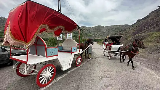 Palu'yu ziyaret edenler tarihi ilçeyi artık faytonla gezebilecek