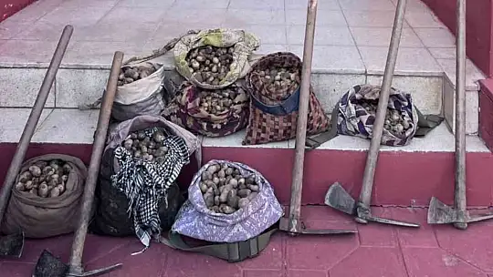 Salep soğanı toplayan 6 kişiye 678 bin lira ceza