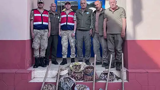 Salep soğanı toplayan 6 kişiye 678 bin lira ceza