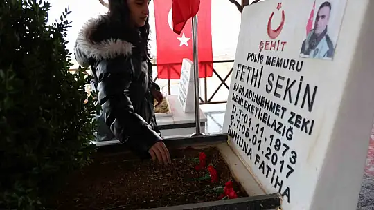Şehit polis Fethi Sekin'in ablasıyla birlikte çizdiği resimler ortaya çıktı, büyük beğeni topladı