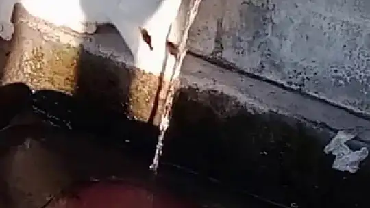Su sırası kedinin