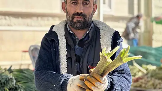 Tam bir şifa deposu: Doğunun muzu 'ışkın' tezgahlarda yerini aldı