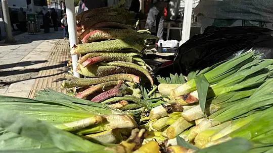 Tam bir şifa deposu: Doğunun muzu 'ışkın' tezgahlarda yerini aldı