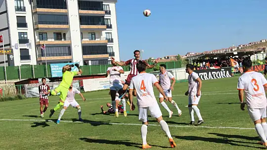 TFF 3. Lig: 23 Elazığ FK: 1 - Adana 1954 FK: 5