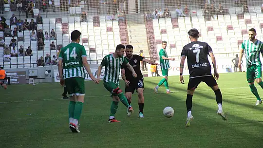 TFF 3. Lig: Elazığspor: 2 - Sapanca Gençlikspor: 1