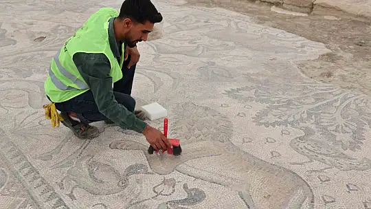 Türkiye'de bir ilk: Tek parça halinde 84 metrekarelik mozaik gün yüzüne çıkarıldı
