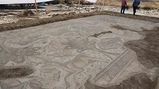 Türkiye'de bir ilk: Tek parça halinde 84 metrekarelik mozaik gün yüzüne çıkarıldı
