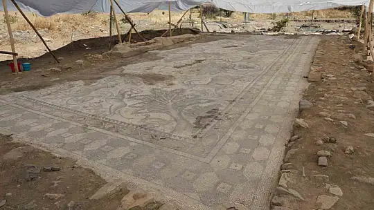Türkiye'de bir ilk: Tek parça halinde 84 metrekarelik mozaik gün yüzüne çıkarıldı