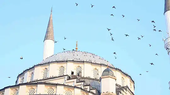 Türkiye'nin ilk asansörlü camisi güvercinleri ağırladı