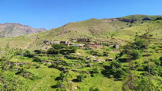 Uydudan haritaları incelerken 3 milyon yıllık kanyon keşfettiler