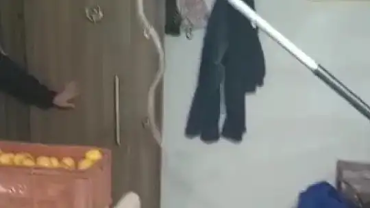 Uzmanlar uyardı: 'Depremlerden dolayı yılanların yerleşim alanları bozuldu'