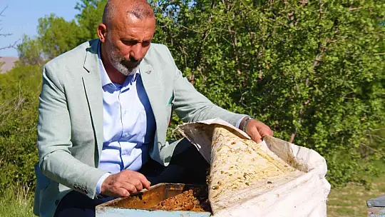 Yağışlar arıcıları da sevindirdi, rekoltede yükseliş bekleniyor