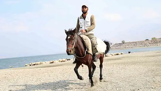 Yaylacıların sahil kenarındaki molası belgeselleri aratmadı