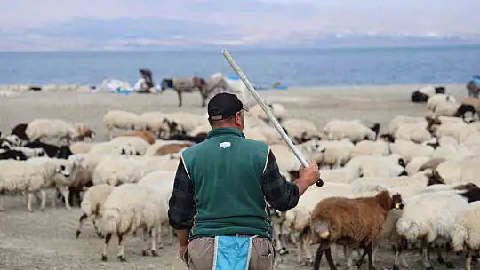 Yaylacıların sahil kenarındaki molası belgeselleri aratmadı