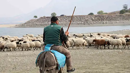 Yaylacıların sahil kenarındaki molası belgeselleri aratmadı