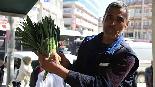 Yılda 2 ay hasadı yapılan 'çiriş otu' tezgahtaki yerini aldı