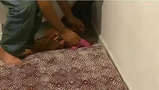 Yolunu kaybedip eve giren kirpi, tekrar doğaya bırakıldı