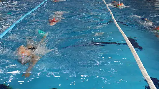Yüzmede 130'u aşkın madalya aldılar, hedefleri dünya kupası