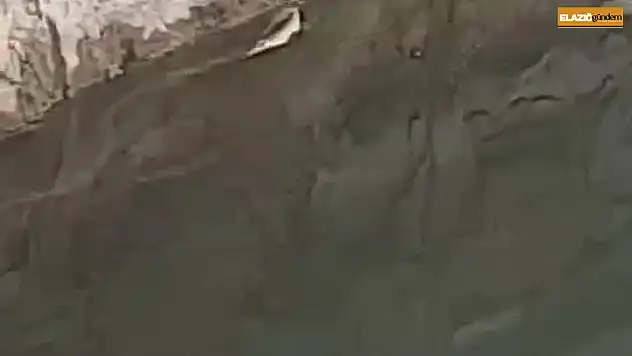 Elazığ'da yılanın balık avı kamerada