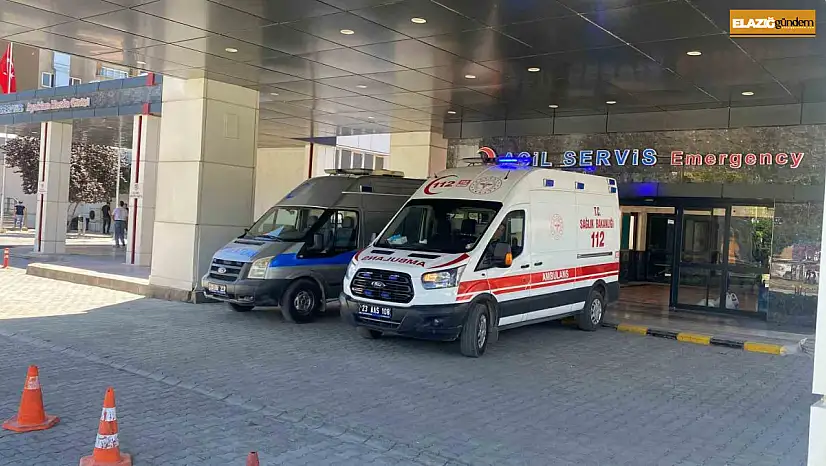 Ahırda süt sağan kadını kene ısırdı