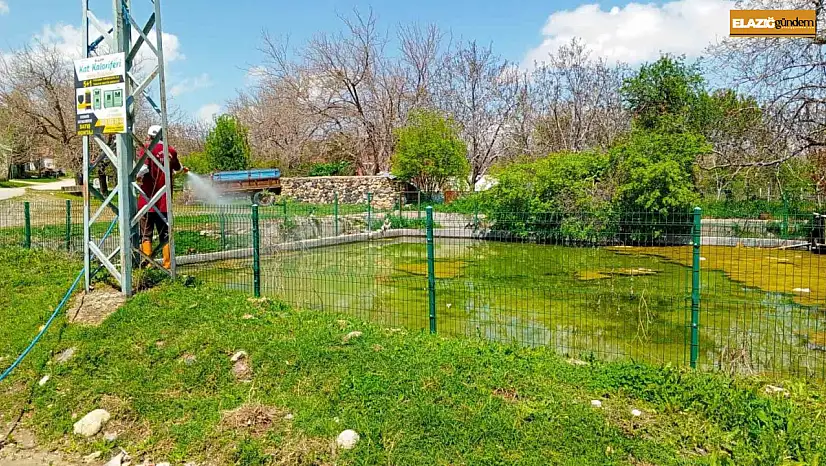 Elazığ'da larva ilaçlama çalışmaları sürüyor