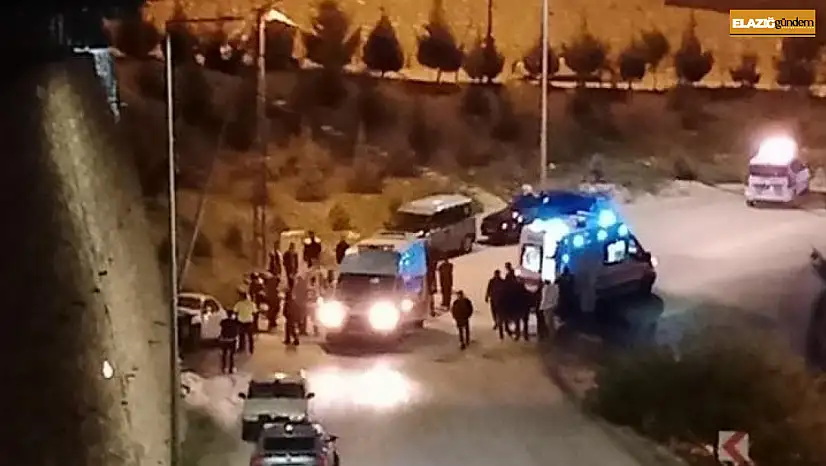 Elazığ'da otomobil elektrik direğine çarptı : 3 yaralı