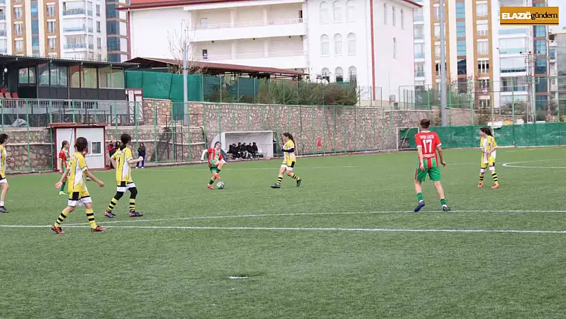 Okul sporları heyecanı Elazığ'da yaşandı