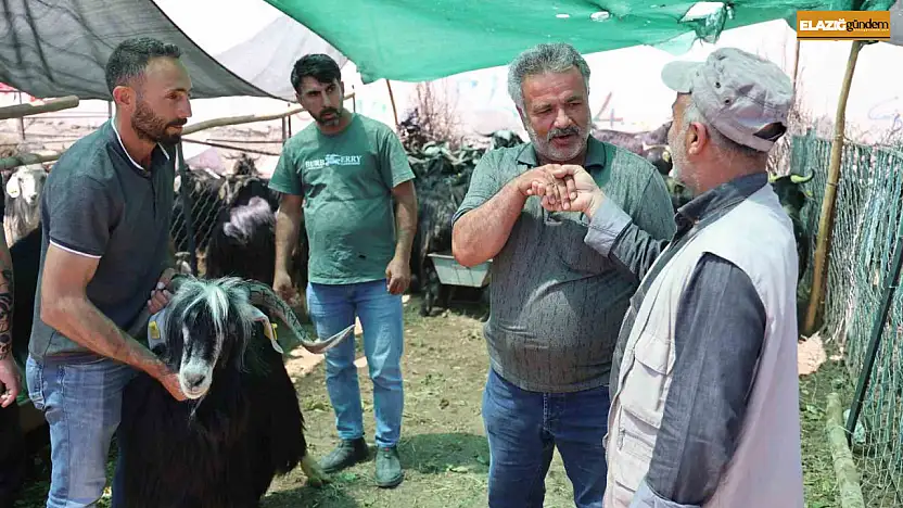 Elazığ'da 'kol kıran' pazarlıklar sürüyor